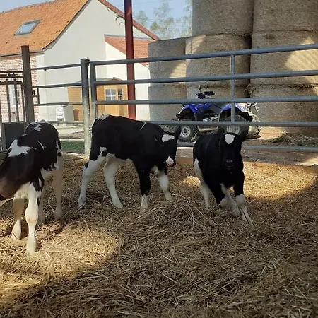 A La Ferme Le Vivier Hébergement de vacances *