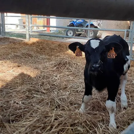à La Ferme Le Vivier