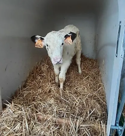 A La Ferme Le Vivier * Lottinghen